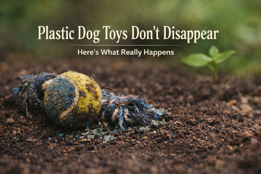 Plastic Dog Toys Don’t Disappear...