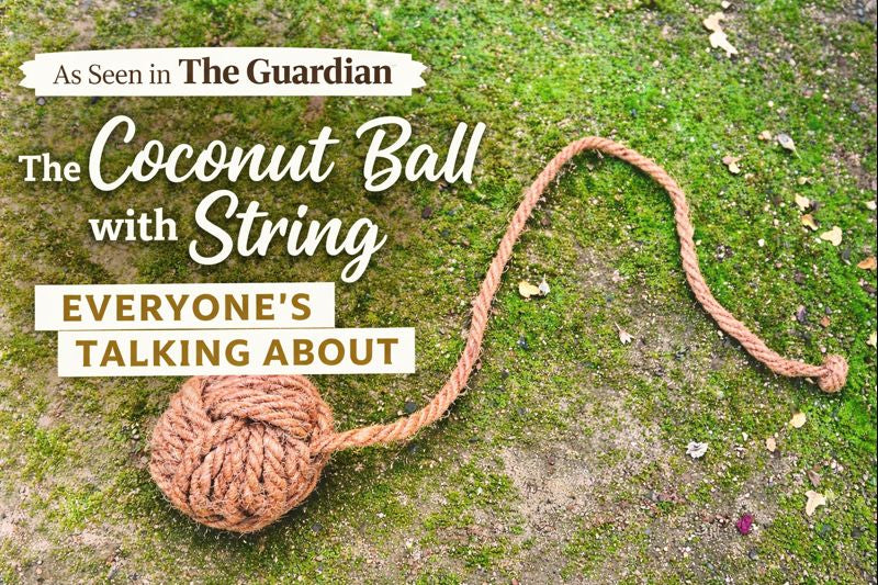 Why Dogs Love Our Coconut Ball with String