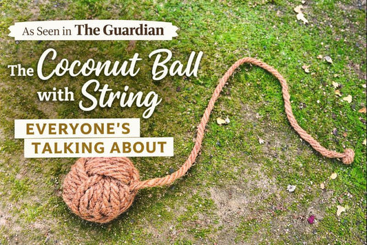 Why Dogs Love Our Coconut Ball with String