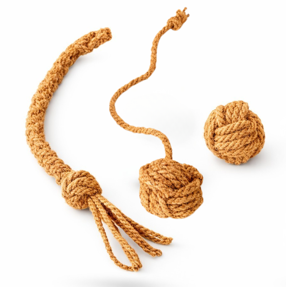 Coconut husk dog toy bundle with rope tug toy and chew balls - natural plastic free dog toys for chewing and enrichment