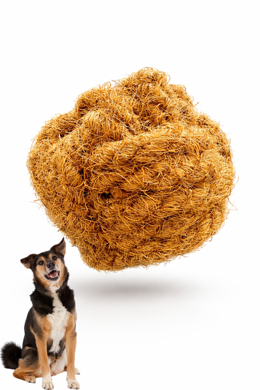 Eco-friendly dog toy bundle featuring a natural coconut husk rope toy and coconut husk ball with string by Freya & Dax

