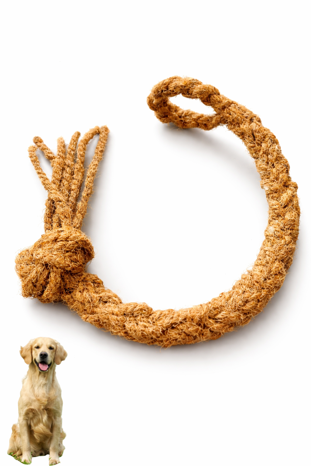 Play & Rotate Dog Toy Bundle - Complete Rotation Set