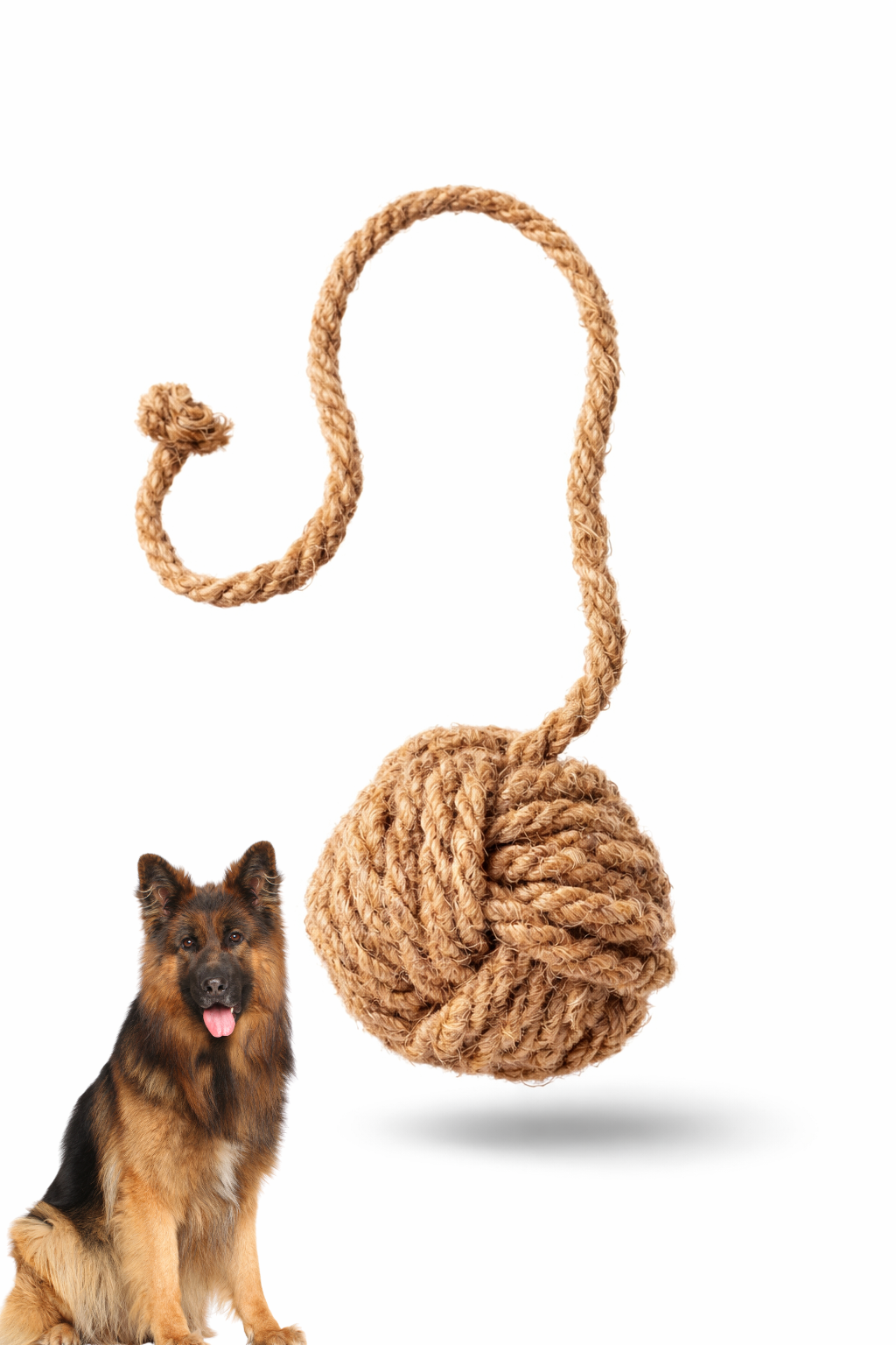 Play & Rotate Dog Toy Bundle - Complete Rotation Set